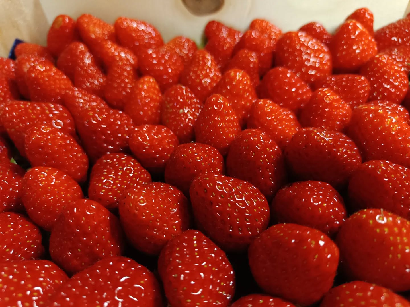 🍓 Promotion également ce week-end sur notre fraise 🍓