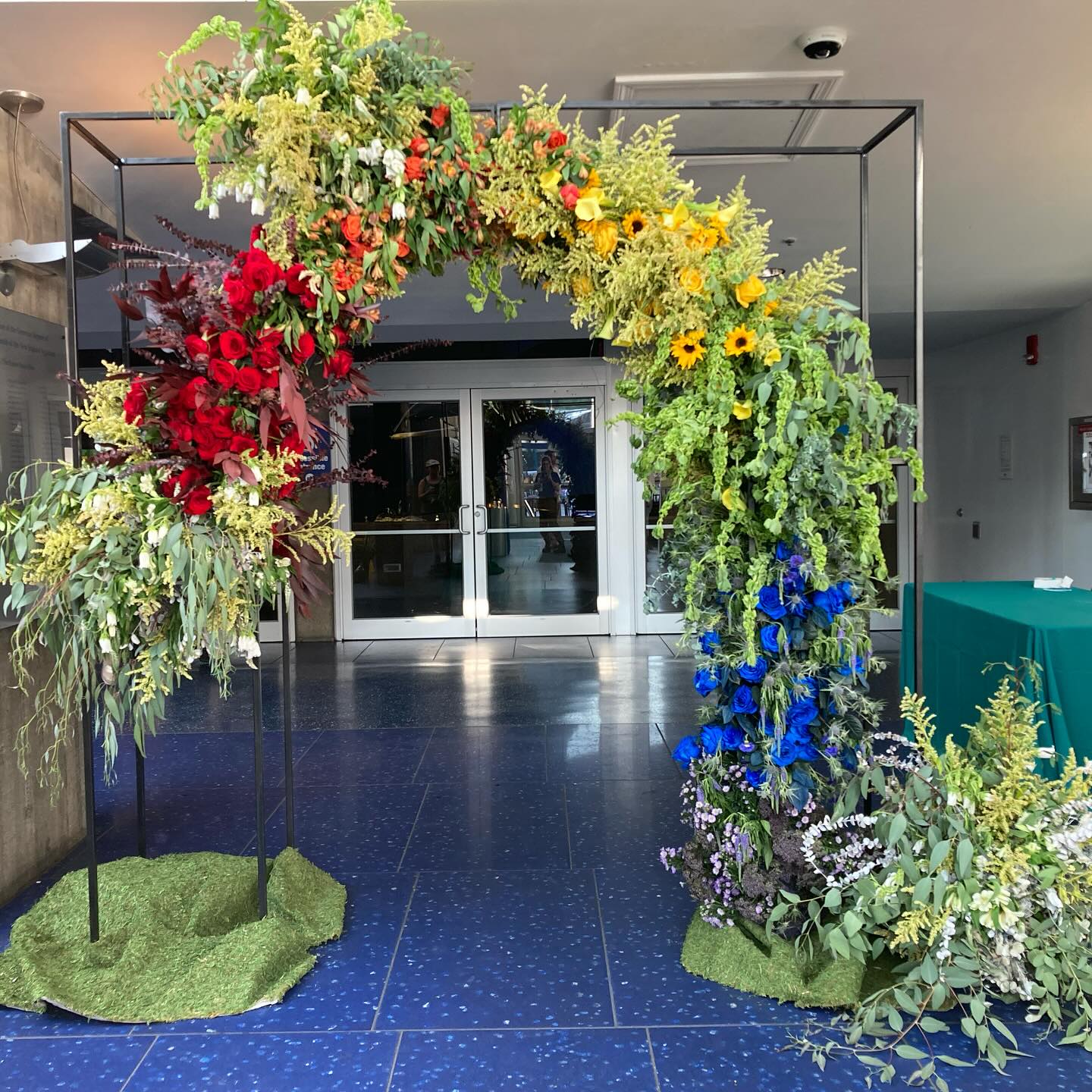 Life goal achieved - make a flower rainbow for guests to walk under!
We were proud to flower for the MA LGBTQ Bar association annual party for the second year in a row! We had strict flower requirements as the event was held at the New England Aquarium and for the animals safety we had a short list of approved varieties so we worked with imported product- something we aren’t used to which made it feel like an art project. For mechanics we made a moss tube and soaked it- a floral foam free design technique we were experimenting with. Thanks to our great team for pulling off a tight timeline with lots of challenges along the way. @indianotfromindia @squashmagosh @ericaarul #nofloralfoam #nofloralfoamtechniques #flowerrainbow #queerfarm #pride