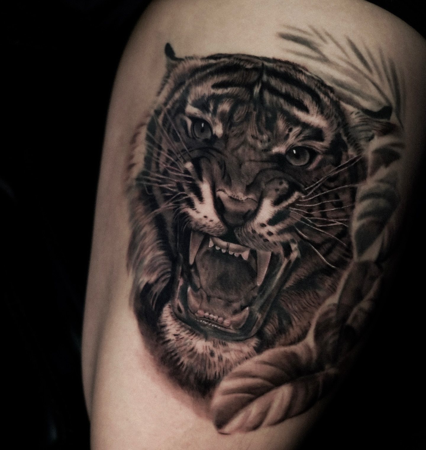 ✍🏽Artist: Lalo V @inkbylalo
🗓️Books: OPEN
To book: DM/text/email him directly
📧inkbylalov@gmail.com
📱 (408)843-7441
💲Deposit Req
•
•
•
#bayareatattooartist #marsink #marsinktattoo #california #bayarea #tattoos #portraittattooartist #sanjosetattooartist #gilroytattooartist #morganhilltattooartist #portraitartist #realismtattooartist #blackandgraytattoos #blackandgraytattooartist #sanjose #bayarea #blackandgrayrealism #fullsleevetattoo #realismtattoo #portraittattoo #armtattoo #tigertattoo #sanjose