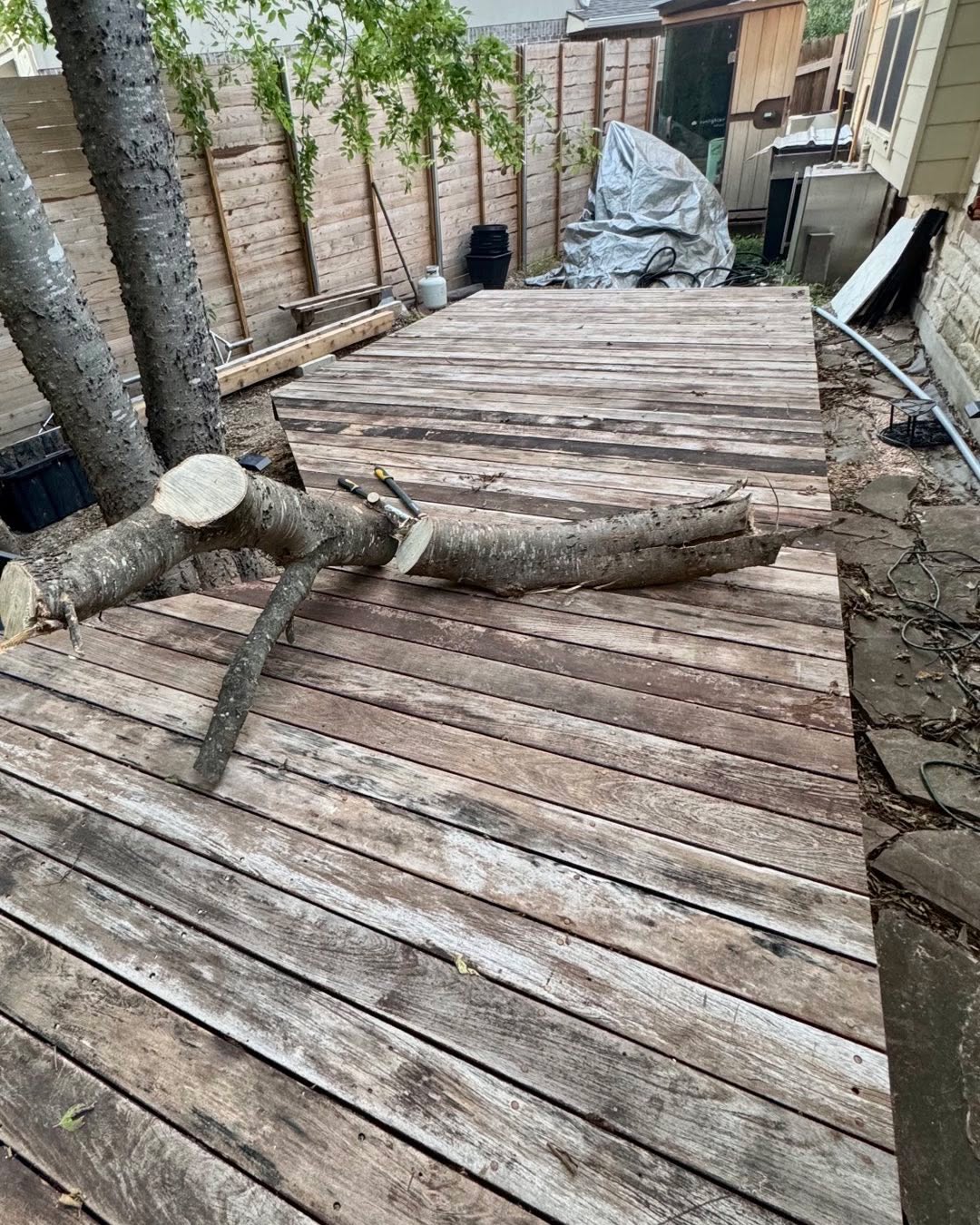 Fresh wood from a storm, headed to dry out