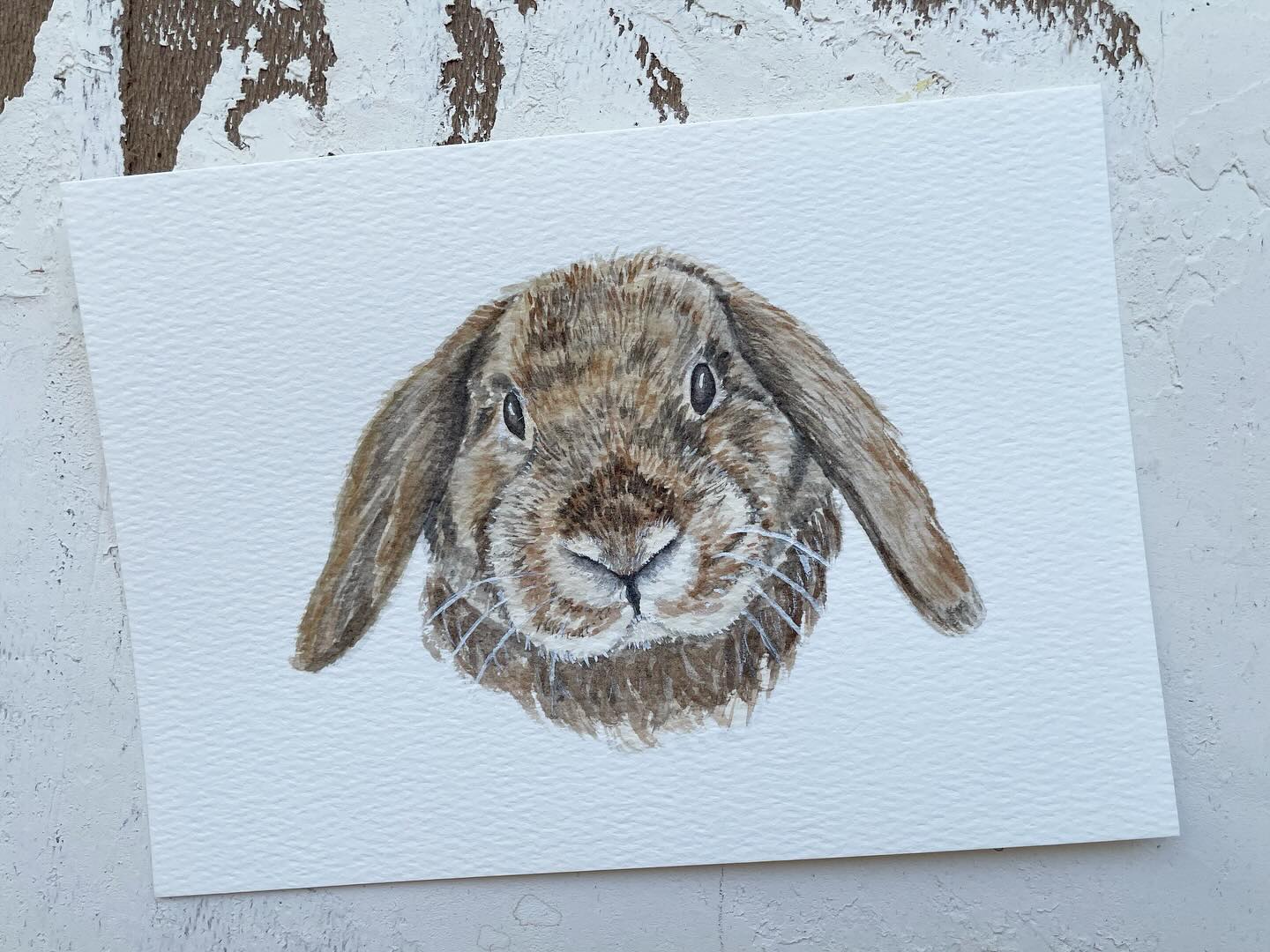Just a little bundle of fluff and love, hopping into your feed to brighten your day! 🐇💖 Who else can’t resist bun-buns?!
.
.
#bunnyofinstagram #petportrait #bunnyartwork
