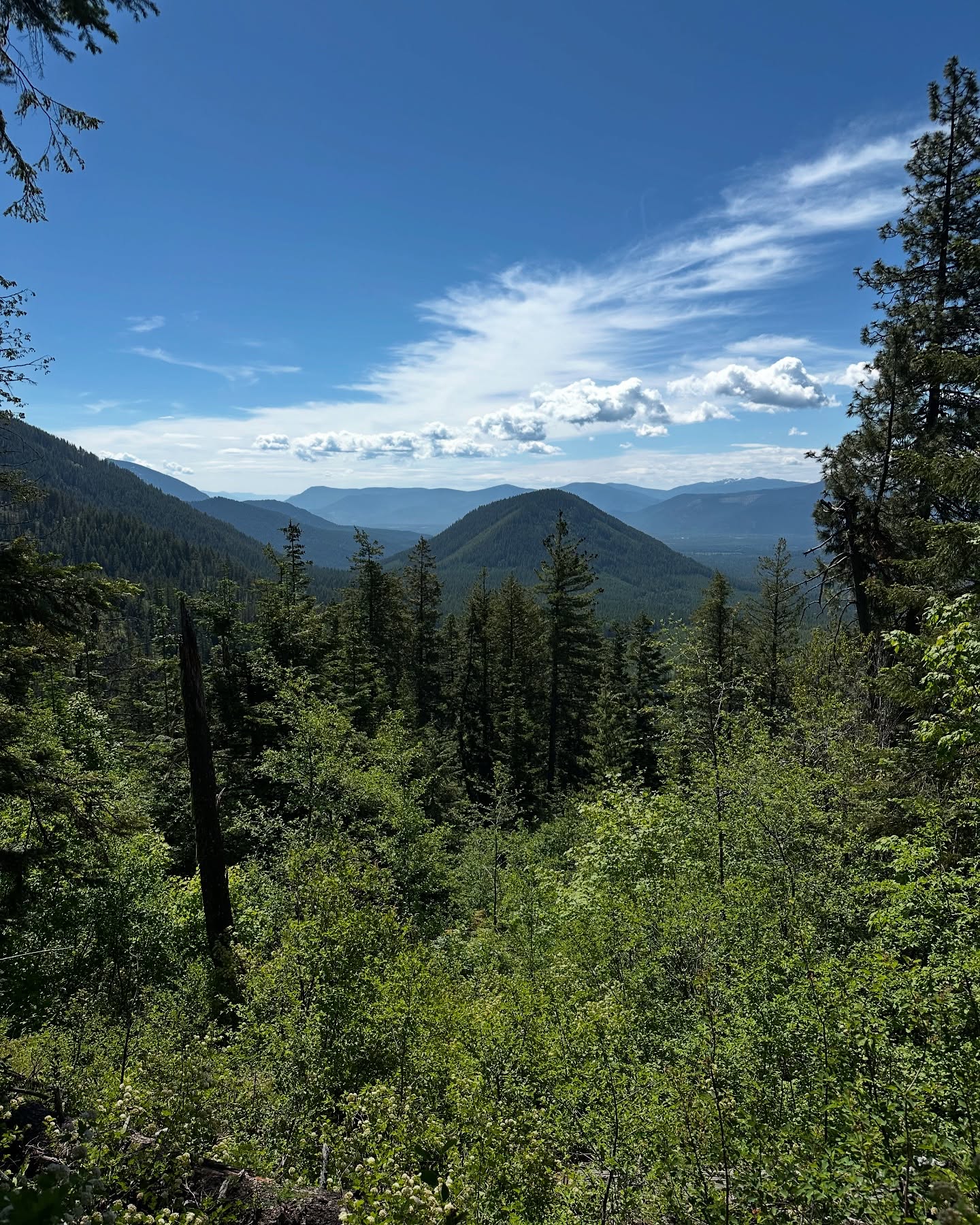 Spent my birthday doing what I love 🏔️
The climb was brutal.
The quiet was healing.
The view was earned.
Grateful for another year! 🙌🏻
The best is yet to come!
🫶🏻, Lindsey
#thewanderher #scotchmanspeak #mountaingoats #birthdayhike #soloadventures #solohike #solotravel #solofemaletraveler #vanlife #solovanlife #solofemalevanlife #thisis36 #solojourney #trailtherapy #naturetherapy #natureismedicine