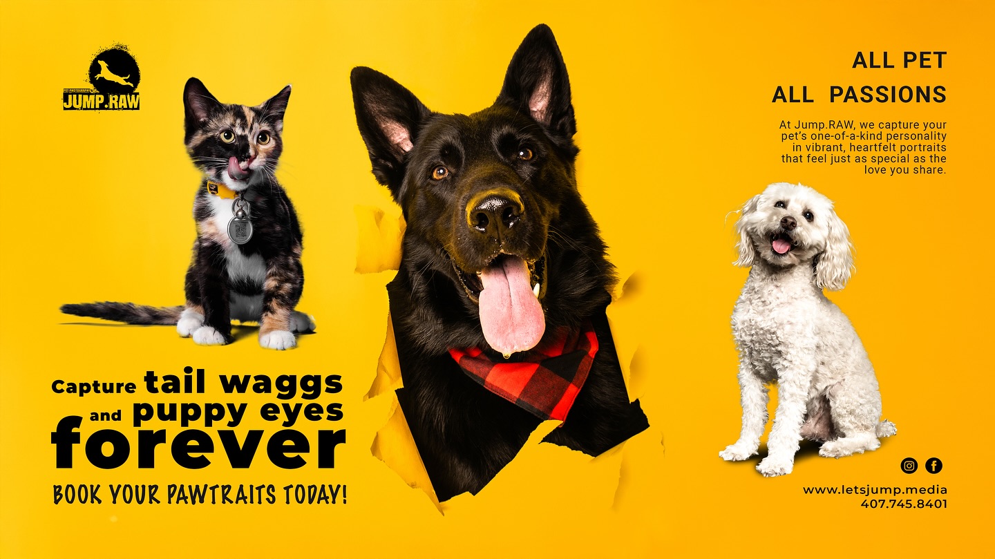 🐾✨ Your pet’s personality deserves the spotlight—indoors or out!
From cozy studio portraits at @vyrusstudios to playful park adventures, we capture your furry friend at their absolute best.
📸 Studio & outdoor pet sessions now available in Orlando!
🎉 Mention “PAWTRAIT” for $20 off your session this month.
📍 Orlando, FL
📅 Limited spots—DM to book your date!
#PetPhotography #DogPortraits #JumpRAW #OrlandoPetPhotographer #StudioAndOutdoorSessions #VyrusStudios