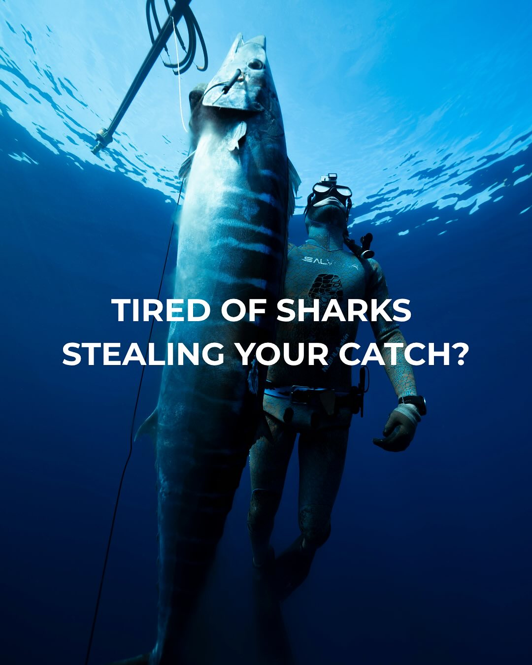 🦈Now available: The PRO 8-pack system!
🦈Dive longer, feel safer.
🦈Link to website in bio
#spearfishing#freediving#underwaterhunting#spearfish#scubaspearfishing#spearfisherman#oceanlife#speargun#divegear#underwateradventure#catchandcook#saltlife#spearfishinglife#spearfishinggear#sharkencounter#underwaterlife#toothlessgear#deepdive#spearfishingcommunity#spearfishingvideos