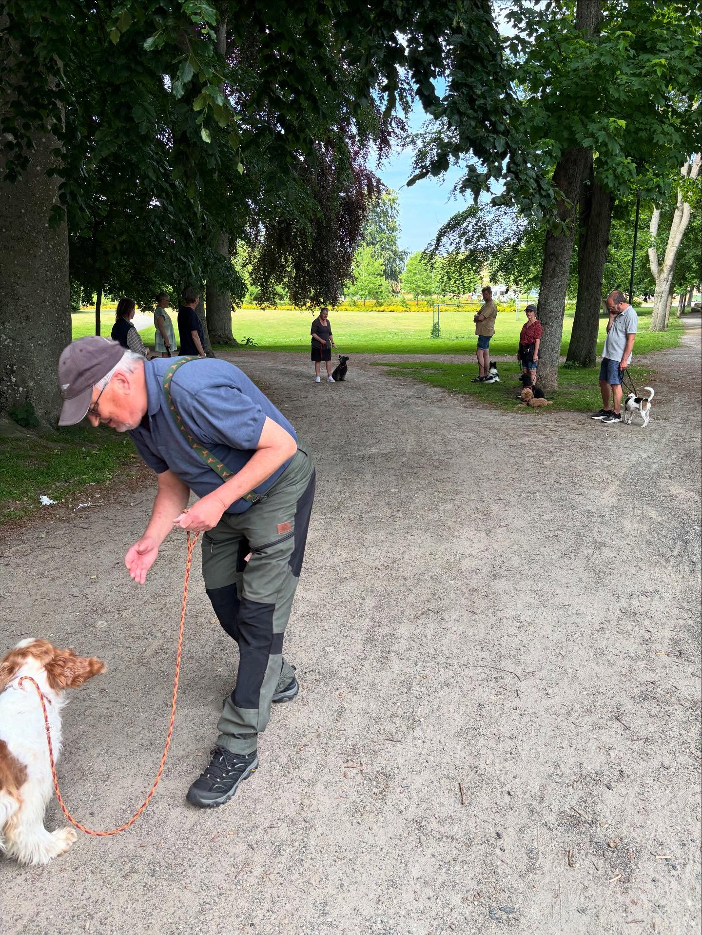 Höll på att glömma🙈🙈
Så kan det bli när man byter dag & tid.
Ikväll är det premiär för våra sommarpromenader i Åbackarna.
Vi träffas kl.19 vid utegymmet, bredvid tennisbanorna på Tobisvik.
Vi går en mysig aktivitets & socialiseringspromenad på en dryg timme.
Jag anpassar promenaden efter vilka ekipage som dyker upp. Så tveka inte, alla är välkomna.
Medlemmar i SimBK får hänga med gratis även under sommaren. Övriga betalar 25kr/gång eller 10-kort för 200kr. 10-kortet gäller även till hösten när vi flyttar in till stan igen.
För Information;
Från och med 1:a promenaden i höst, när vi flyttar in till stan (datum inte bestämt än)kommer medlemmar få betala 25kr/gång eller 10-kort för 200kr.
Icke medlemmar betalar då 45kr/gång eller 400kr för 10-kort.
Varmt välkomna ikväll.
//Yvette☀️