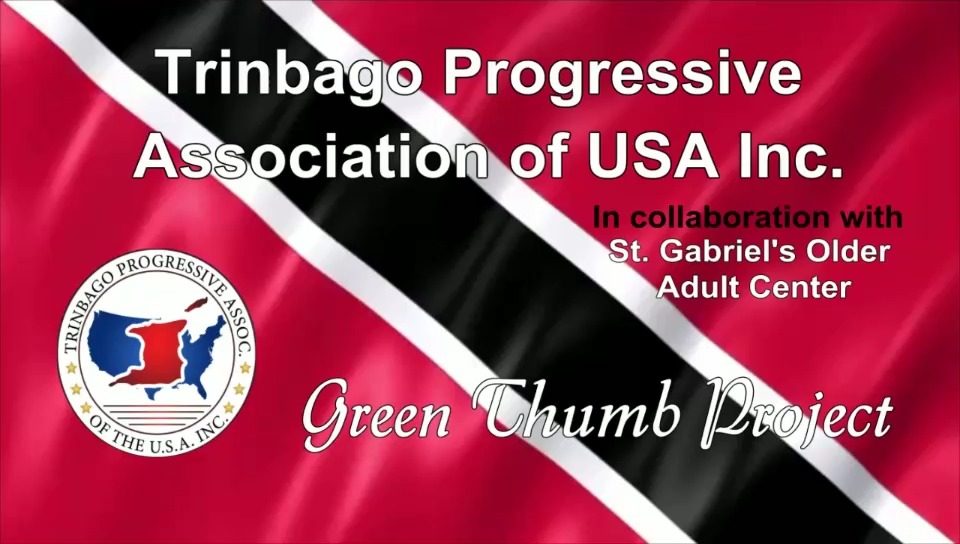 This is the second week of a 6-week community program hosted by TPA President (Angela Cooper) and its members in collaboration with St. Gabriel's Older Adult Center, in Brooklyn, NY. #community, #greenthumb, #newyork
