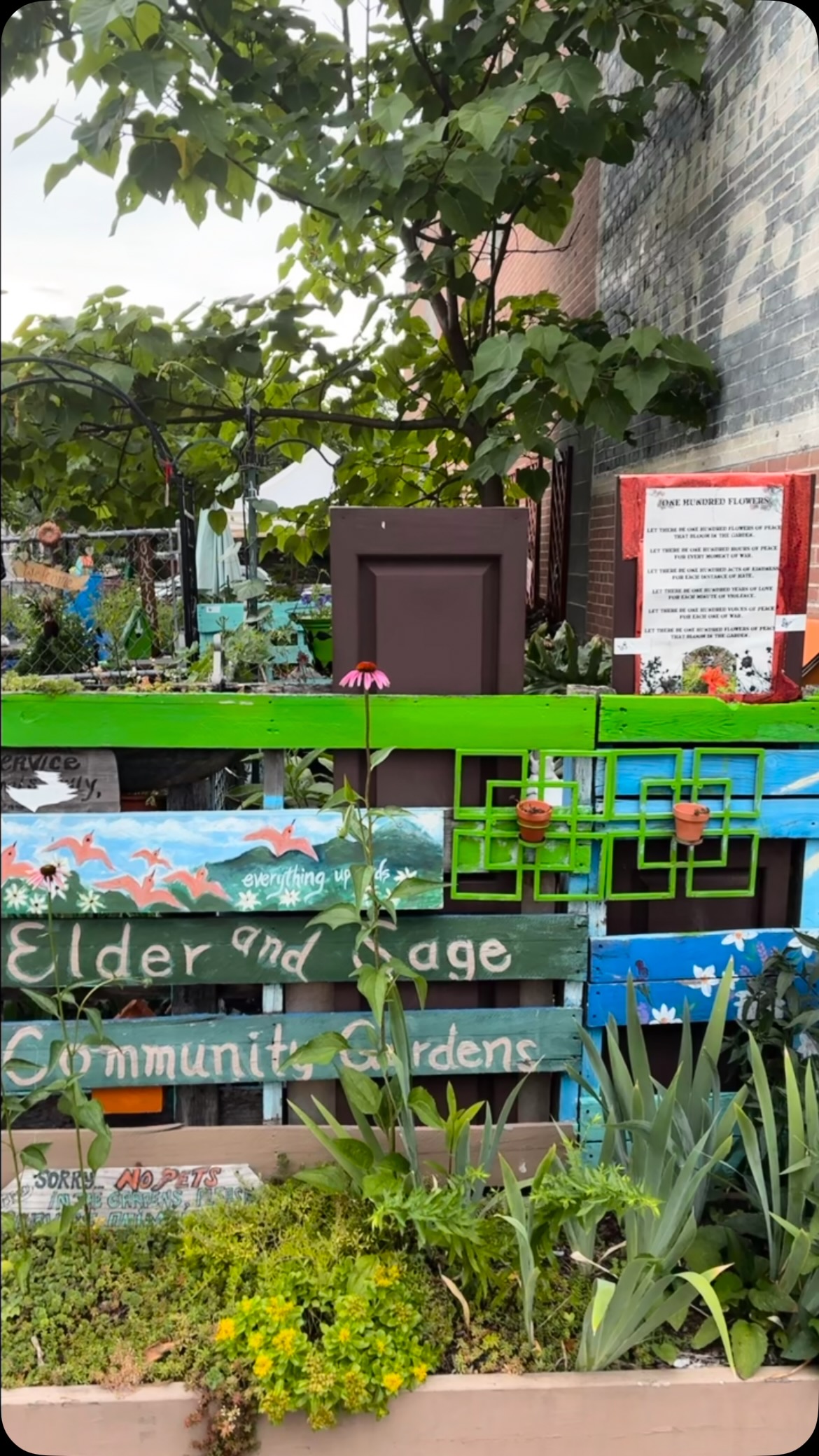 Loved discovering @elderandsagecommunitygarden right in the heart of downtown Asheville, North Carolina!