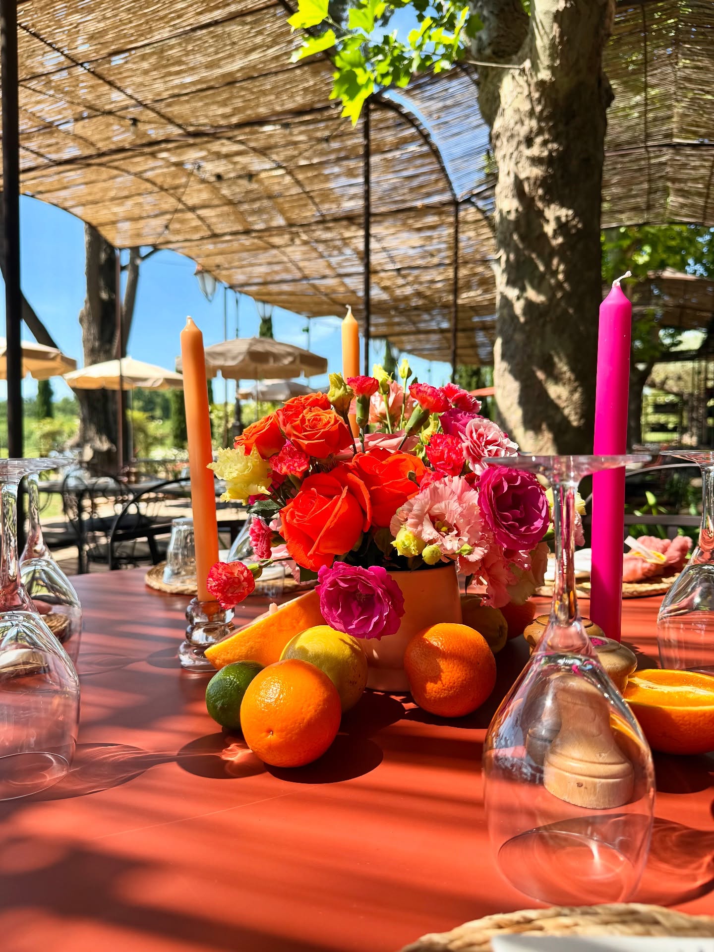 Bienvenue au baptême de la petite Anna 🍊🌸
Une décoration florale pop et colorée, saupoudrée d’une touche d’agrumes et de bonbons 🍭
lieu : @chateausaintroux ✨
🌸 Une demande ? Contactez-nous 🌸
(toutes les infos sont dans notre lien en bio et sur notre site)
📍 Rose Myrtille à Callian
🕰️ du Lundi au Jeudi - de 10h à 19h / Vendredi et samedi - de 9h à 19h / Dimanche - de 9h à 13h
📍 Rose Myrtille au Cannet des Maures
🕰️ Lundi - fermé / du Mardi au Jeudi - de 10h à 19h / Vendredi et samedi - de 9h à 19h / Dimanche - de 9h à 12h30
- l’équipe Rose Myrtille ✨
#fleuristerie#bapteme#fleuristevar#fleurs#callianprovence#rosemyrtillefleuriste#interflora