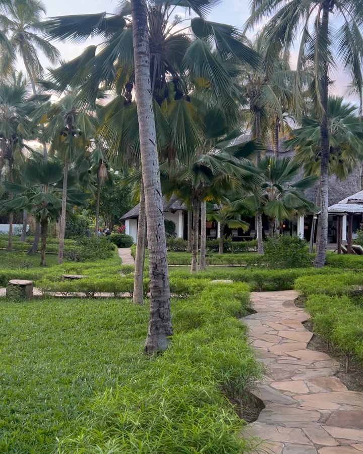 Reverse the videos! Where I started my day
The Highlands, perched at an elevation of 6500 feet in the Ngorongoro Crater highlands of Tanzania. At night it drops to the low 40s. Fireplace, lots of blankets and hot water bottles.
3 hour drive, 2 flights, 90 minute drive later:
Where I ended my day
The Palms, Zanzibar, Tanzania