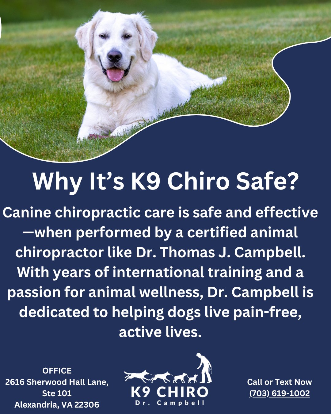 Why It’s K9 Chiro Safe?
Canine chiropractic care is safe and effective—when performed by a certified animal chiropractor like Dr. Thomas J. Campbell. With years of international training and a passion for animal wellness, Dr. Campbell is dedicated to helping dogs live pain-free, active lives.
https://www.campbellk9chiro.com/
#CertifiedChiropractor #SafePetCare #AnimalChiropractic #CampbellK9Chiro
