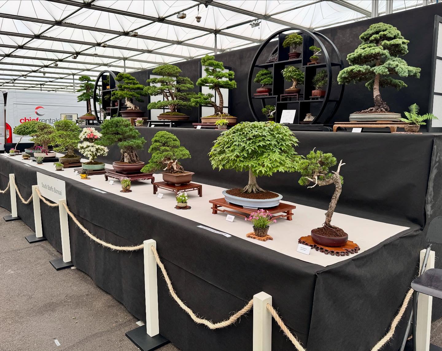Looking forward to another day at @bbcgwlive don’t forget to come and see our display if your coming to the show this weekend. @southstaffsbonsai #gardening #flowers #bonsai
