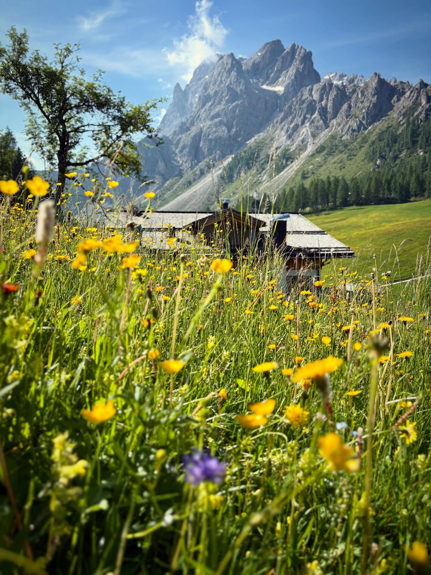 S U M M E R T I M E
•
•
•
#rifugiorudihütte #sexten #sesto #3zinnendolomites #dolomites