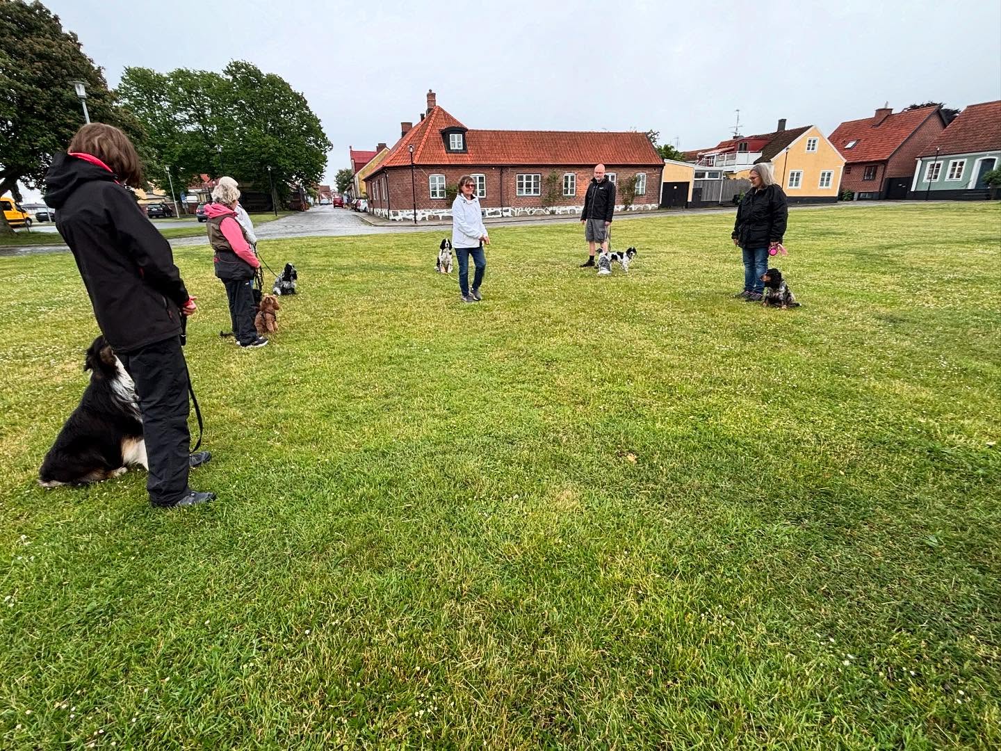 Vårens sista söndagspromenad.
Tänk att det äntligen kunde bli varmt, nu hoppas vi att det håller i sig så vi kan få njuta av en härlig sommar.
Idag träffas vi vid Hamnkiosken kl.15
Nästa söndag blir det ingen promenad, men vi startar upp våra sommarpromenader i Åbackarna onsdagen den 25/6 kl.19
Då träffas vid gymmet vid Tobisviksbadet/Tennisbanorna & går en runda i skogen eller längs stranden.
Vi anpassar som vanligt rundan efter vilka ekipage som dyker upp.
Kan du inte gå i trappor så säg bara till så tar vi rundan utan. Alla skall ha möjlighet att vara med.
Är du medlem i SimBK får du följa med gratis på sommarpromenaden.
Övriga betalar 25kr/gång eller 10-kort för 200kr
Swish eller jämna kontanter.
Idag säger jag det i dubbel bemärkelse.
Varmt välkomna 🐾🐾☀️