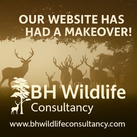 🦌 Head on over and have a look : www.bhwildlifeconsultancy.com
#websiteoverhaul #websiteupdate #NewLookSameMission #wildlifeconservation #ecologyconsulting #NatureBasedSolutions #exploremore #bhwildlifeconsultancy #BHWC