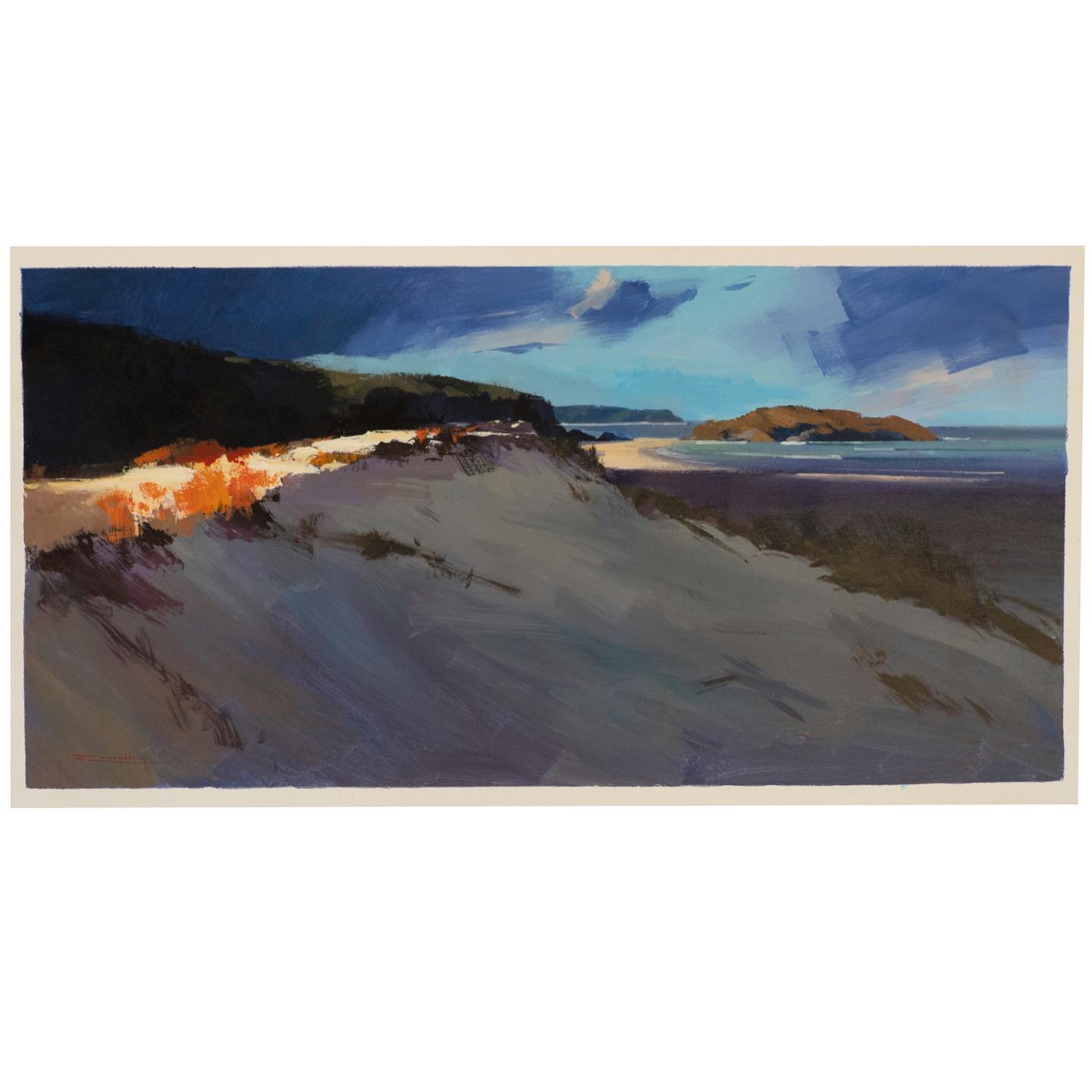 ‘A Walk to the Island’ 1110 x 550mm. Another 2025 work available at @artessencegallery #bournda #bourndaisland #beowanationalpark #sapphirecoastnsw #sapphirecoastart #sapphirecoastartist