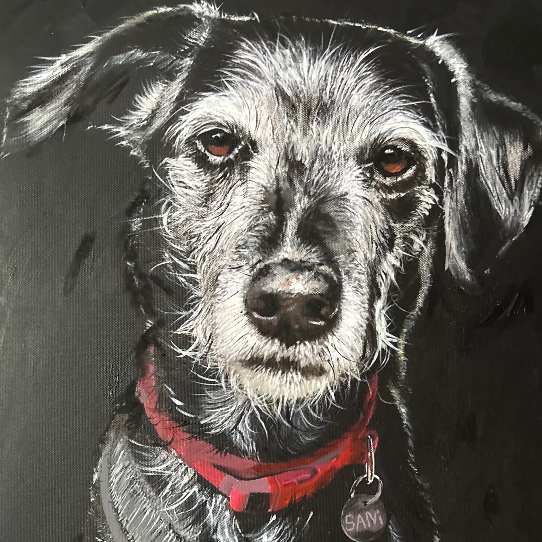 Meet Sam! ๐พ
He is an old boy, possibly a Schnauzer or Wirehaired Terrier mix. The wiry coat, expressive eyes, and grey muzzle give him that distinctive look often seen in older terrier types.
I ๐ค this breed. They are so full of character and frankly, easy to paint. I handed him over to his owner yesterday. She was thrilled! ๐๐ป
#dogsarefamily #clivehemsley #dogsofinsta #thedogportraitartist #dogsofinstagram #dogmemories #painter #paintmydog #dogsoflymeregis #dogs #dogportraits #artist #ilovedogs #puppy #puppiesofinstagram #pet #petsofinstagram #cutedogs #sam #schnauzer #terrier #wirehairedterrier #dogbreeds #muzzle