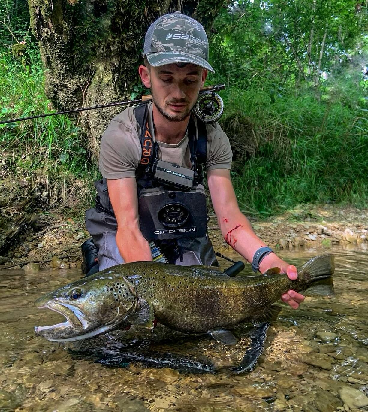 Une truite gravée à vie ❤️
Avant de lire mon récit, je te laisse deviner la taille de ce poisson ? 😊
Le récit ci-dessous :
Comme vous le saviez, je suis bien rentré sur mes terres comtoises cette année. J’ai passé beaucoup de temps au bord de l’eau cette année, bien plus que d’habitude. Je me suis concentré principalement sur des zones que je ne connaissais pas dans l’espoir de trouver un trésor : une truite zébrée comtoise record. Malgré la souffrance de nos rivières, il reste, sur certains endroits, des poissons trophées qui me faisaient rêver et vibrer depuis que je suis petit. Je me revois le soir dans mon lit, lire des magazines de pêche avec des grands noms de la pêche attraper ces truites énormes qui me paraissaient d’un autre monde. Ces truites si méfiantes et sauvages qui ont appris avec l’âge à déjouer tous les pièges de la vie.
En ce moment, comme vous le saviez, nous sommes en pleine saison des mouches de mai. C’est pour moi la meilleure saison pour faire sortir ces grosses truites. Vous savez, ces gros poissons dont notre intuition nous persuade de leur présence dans certains coins, mais que l’on ne voit jamais. Alors cette année, quitte à perdre mon temps, je me suis concentré sur des zones hyper compliquées pour la pêche et dont j’étais sûr qu’il y avait des grosses truites.
Je suis passé des dizaines de fois cette année sur ce spot sans jamais rien voir, mais ce spot avait tout pour abriter un gros poisson : difficile à pêcher, une fosse et des arbres immergés et surtout aucun autre poisson aperçu.
Les conditions orageuses étaient propices à une grosse éclosion de mouches de mai, pourtant, au premier abord, je n’ai rien vu sur ce spot. Mais en patientant un peu, j’ai entendu un petit bruit, comme une goutte d’eau tomber dans l’eau, et qui n’était pas régulier mais très fréquent.
La suite en commentaire ⬇️
#truite #truites #truitefario #truitesauvage #pechealamouche #pecheenfrance #pecheautoc #pêcheennymphe #nymphs #nymphe #pechetruite #trout #troutfishing #troutbum #troutflies #troutfly