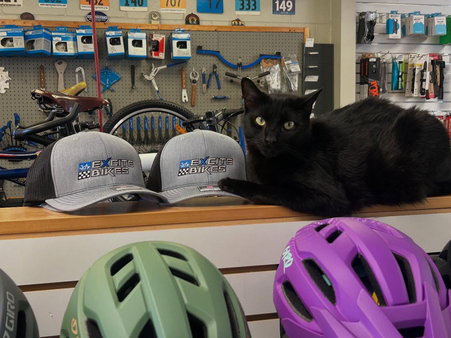 Sammy the shop cat says the new Excite Bikes hats have landed. Stop by and get yours soon! #bikeshoplife #blackcatsrule #localbikeshop