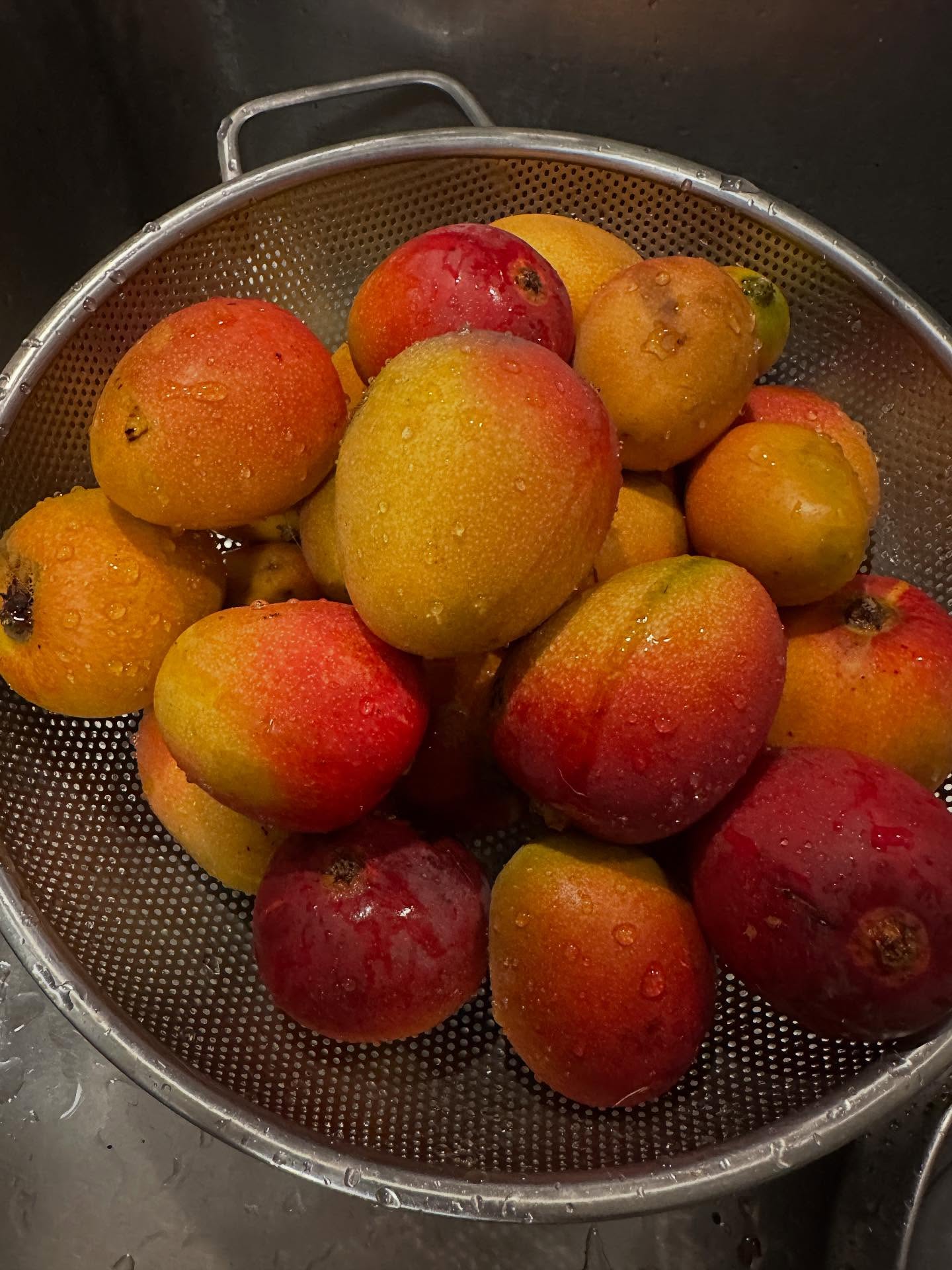 When life 🌳gives you mango 🥭 make mango bread 🍞 🤗🙏🏽