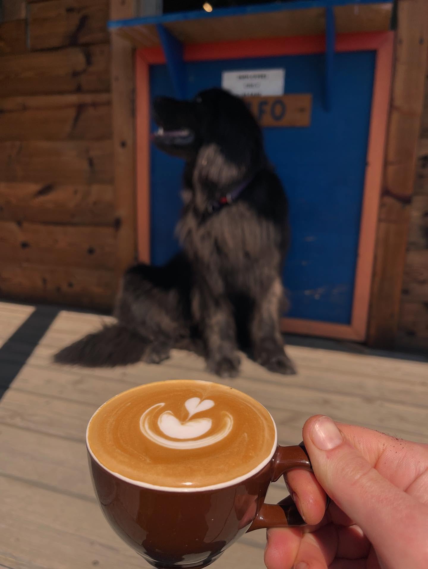 Did you know: drinking coffee in the sunlight near dogs and the ocean is the best thing ever?? Well, now you know! 😉