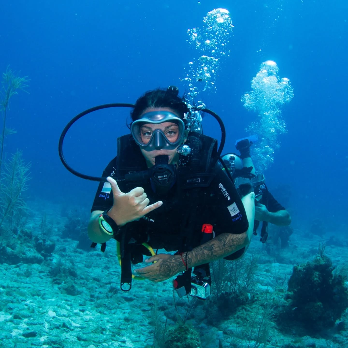 Sous l’eau, tout est différent…
Le temps ralentit.
La respiration change.
Et c’est comme si l’âme se souvenait.
📍Roatán, une île qui m’a offert des plongées inoubliables.
J’ai vécu des instants puissants, beaux, profonds.
Des rencontres marines qui guérissent, qui émerveillent, qui recentrent.
Aujourd’hui, je te partage quelques-unes de mes photos préférées de ce voyage sous-marin… et j’ai une mission pour toi 👇🏾
👉 Commente sous TA photo préférée !
Dis-moi : c’est laquelle qui te parle le plus ? Celle qui te donne envie de plonger, de respirer, de vivre ? 🌊✨
Thanks you so Much To all the wonderful team of @nabooresort
@seasaltyspirits
@coco_underwater
@manonmggb
@manuu.rocha_
See toi soon 🤙🏾♥️🤿
📸 Crédit photo à notre charmante sirène photographe, la belle Manu
IG : @deep.uw.photos
.
.
.
#roatán #plongée #explorationmarine #voyageinterieur
#respirer #vivresavie #fyp #foryoupage #fypシ゚ #pepetteenmer