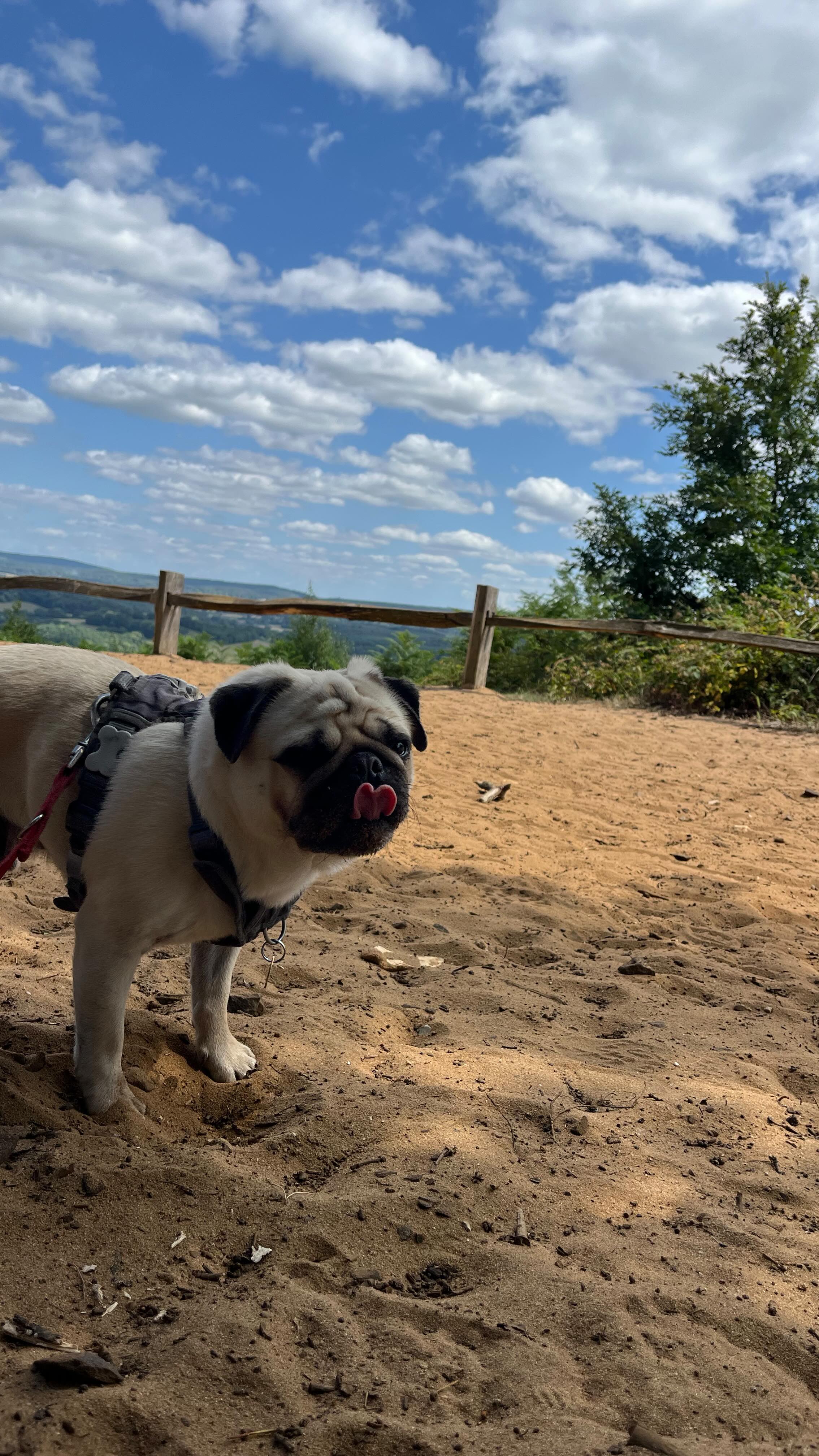 ✨ Happy Tuesday beautiful souls 💫
How are you really today? 💞
Are you allowing yourself to surrender, to soften, to be still enough for the magic to rise and meet you?
Ask yourself gently:
🌿 Where can I surrender a little more?
🌿 What am I still trying to control?
🌿 Can I trust that letting go allows life to come through me, not just to me?
The universe is listening.
The more you align with what feels true — not what feels safe — the more your path will unfold with grace.
🦋 Let it be simple. Let it be soft. Let it be yours.
#PauseBreatheDoYou
#SurrenderToReceive
#TrustTheProcess
#LetGoToGrow
#SoulAwakening
#TuesdayThoughts
#EnergyShift
#HealingJourney
#IntuitiveLiving
#ConsciousCreator
#SelfTrust
#RootToRise
#DivineTiming
#LivingFromTheHeart