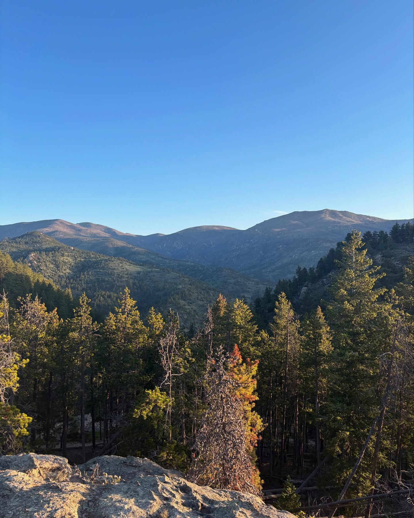 Today’s hike was quite difficult in the beginning and end! Offering spectacular views at the finish, colorado once again didn’t disappoint us.
Trail: Crosier Mountain Rainbow Trail
Time: 2:46 (1:40 to summit)
Distance: 7.6 miles (12.23 km)
#colorado #hiking #smallbusiness #morning #nature #earlybird #buddy #fyp