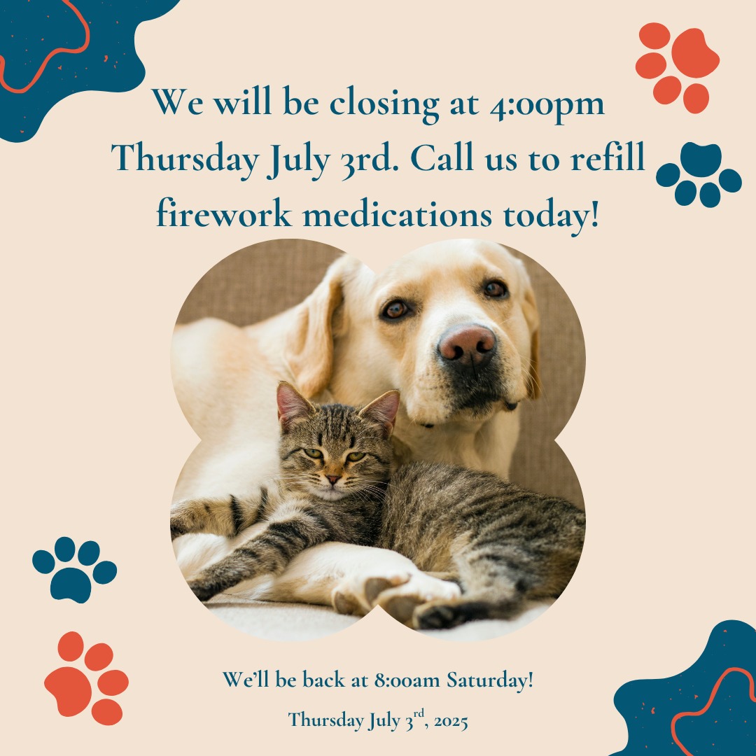 Make sure to prepare for July's sky explosions, call us @ 773 904 8724