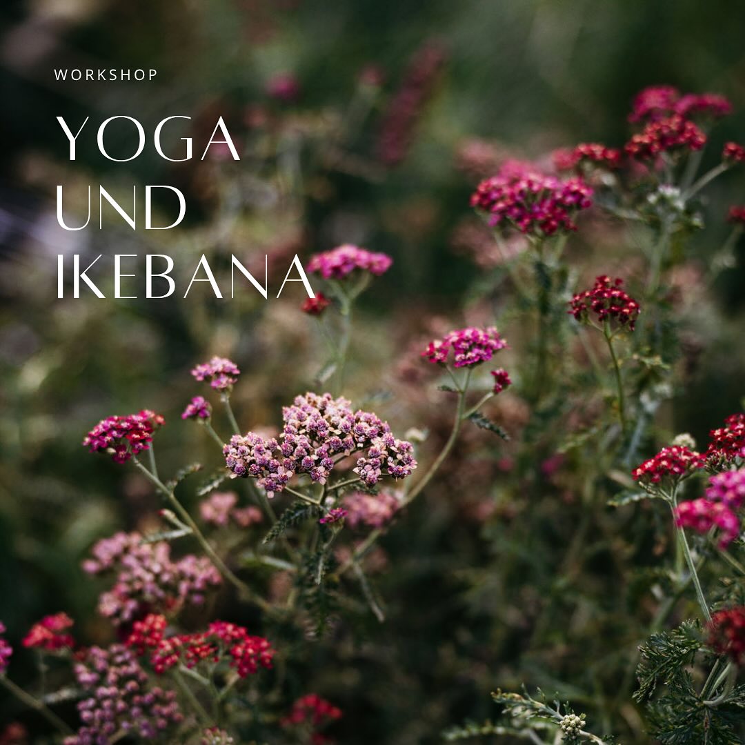 Yoga & Ikebana
Nimm dir Zeit nur für dich und sei am 19.7. dabei, wenn wir gemeinsam bei Yoga und der japanischen Kunst des Blumenarrangierens in der Natur ganz bei uns sind.
Alle Infos auf bluehmelei.at/workshops
@yogabs_rottenmann #workshop #ikebana #yoga #natur #zurückzumir
Das wunderschöne Foto ist von @bine__photography