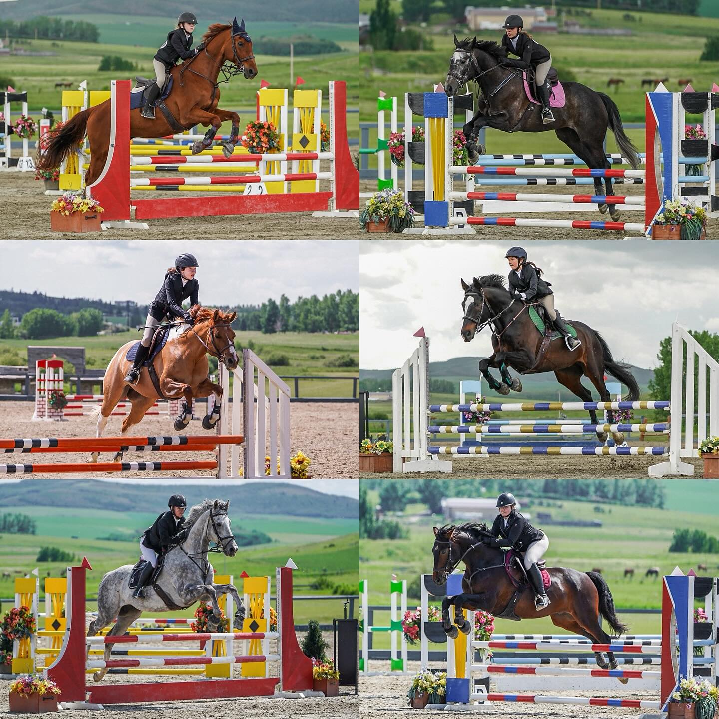 Just a casual day defying gravity in the sand ring!
These horses understood the assignment—and so did our riders. Legs on, eyes up, vibes immaculate.
Shoutout to @rockymountainshowjumping for the killer backdrop and to @siphonophoid for catching all our airborne antics.
#JumpNowThinkLater #SandRingThings #RMSJ #SugarTideShowTeam #EquestrianEnergy #ShowJumpingCanada #FlyingLessonsIncluded #HorseShowVibes #PhotographerHusbandPerks