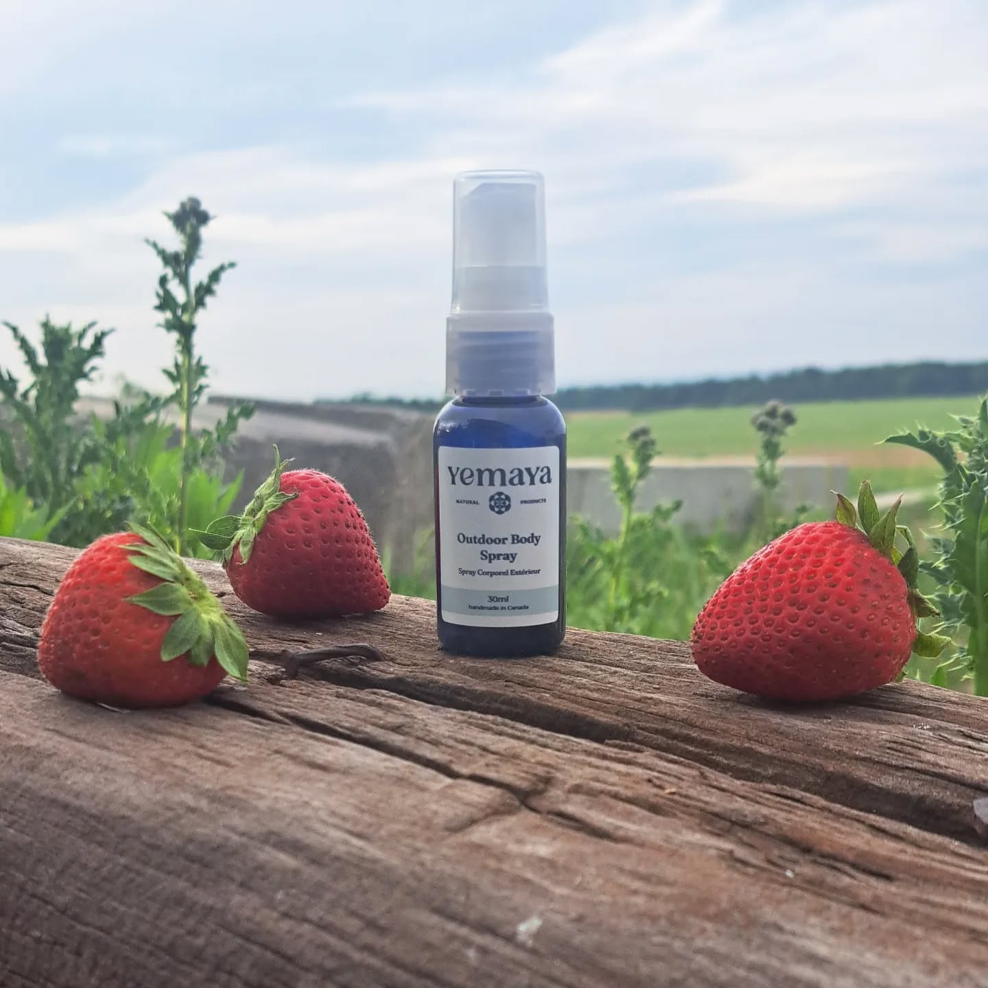 Stop on by @zekveldgardenmarket for pick your own strawberries! Starting today! And add an additional Natural • Organic • Chemical Free • Bug Spray & Sunscreen handcrafted by #yemayanaturalproducts perfect summer accessory! #yemaya #market #wyoming #ontario #sunscreen #bugspray #handcrafted #homemade #family #fun #adventure #Zekvelds #canadian #supportlocal #farmtoskin #farmers #busypicking #yummy #strawberry #strawberrypicking #familyadventure