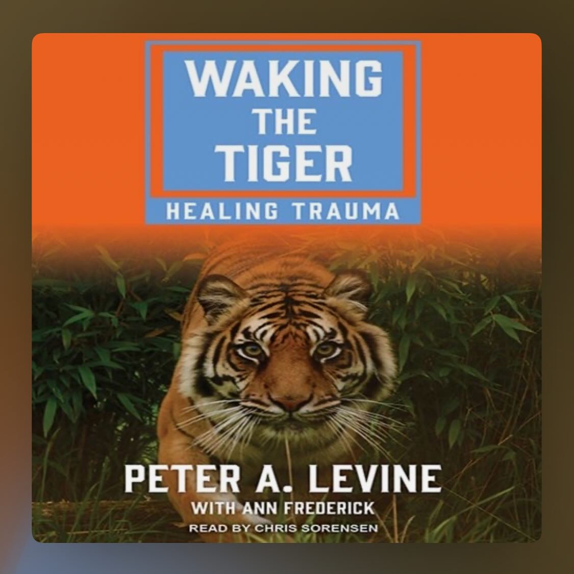 ⭐️⭐️
Peter Levine offers an insightful exploration of how trauma lives in the body. He explains how unresolved trauma can become trapped in the nervous system and emphasizes the need for somatic healing in order to fully recover. The book provides an overview of trauma, introduces tools for healing, and dives into the foundations of somatic experiencing.
While I appreciated the book’s message, I found it difficult to stay engaged. I picked it up and put it down several times before finally finishing it. Levine’s insights are valuable, but the delivery felt dry to me, and the content remained fairly surface-level. I had hoped for a deeper dive into the complexities of trauma. It’s not a problematic book by any means, it just didn’t feel informative or stimulating enough given its slower pace. That said, this critique is more about personal preference than substance. For readers who are newer to the topic of trauma, Waking the Tiger could serve as an introduction to somatic work and body-based healing.
#therapybooks #psychologybooks #selfhelpbooks #traumabooks #trauma #therapistrecommendations