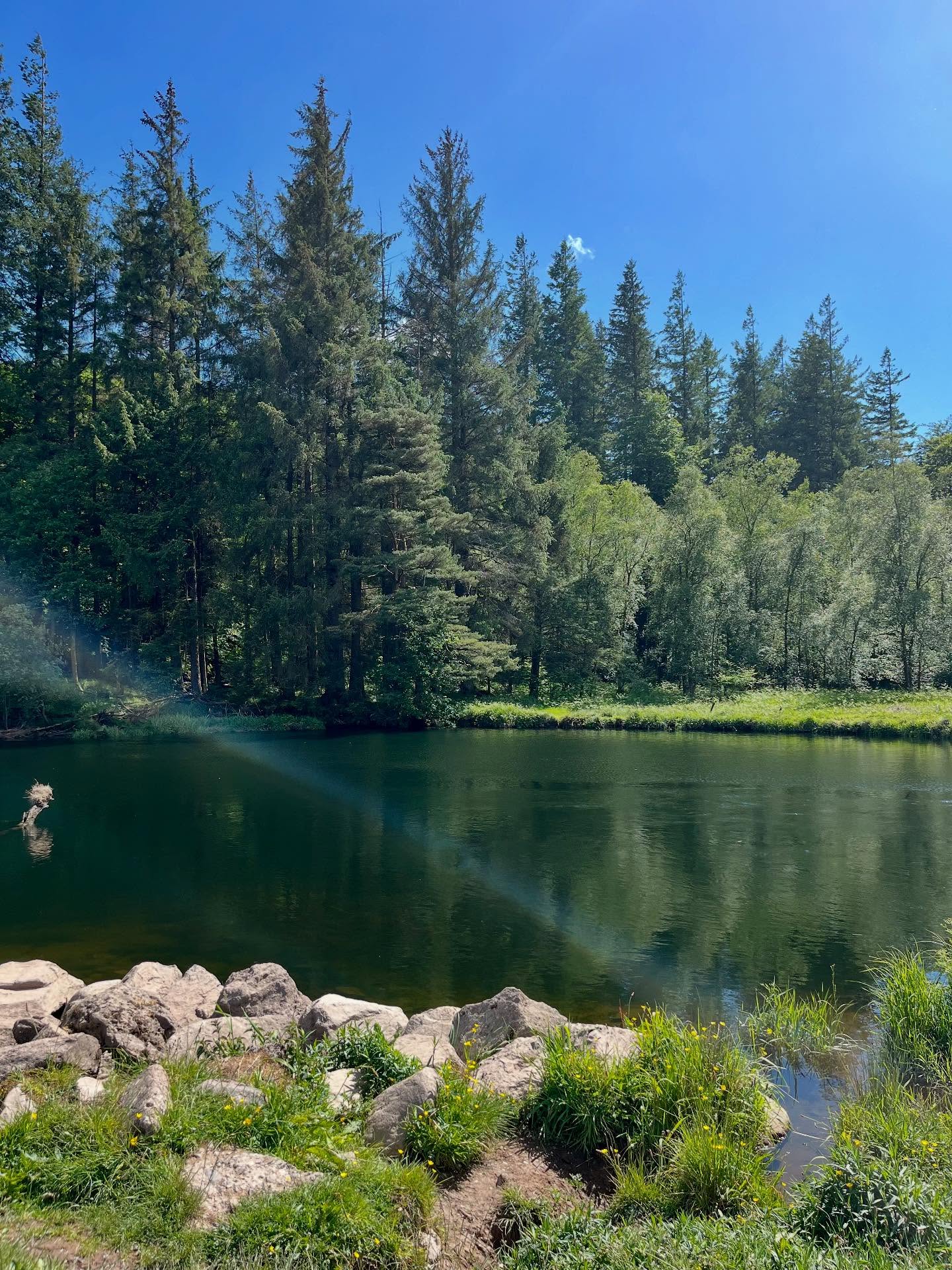 Hey everyone 💛
You may have noticed I’ve been a little quiet on here lately. I just wanted to share that due to some ongoing health issues, I’ve made the tough decision to temporarily close my order book for the next couple of months while I focus on resting and getting back to full strength.
All existing orders will still go ahead as planned — so if you’re already booked in, we’re all good! 😊 I’m just not taking on any new work for the time being.
It hasn’t been an easy choice, but it’s the right one for now. Thank you all so much for your support and understanding — it truly means the world. 💛