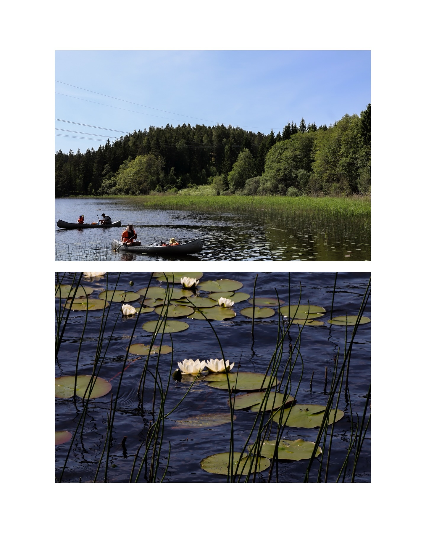 Weekend well spent exploring Sweden’s insane landscapes 🇸🇪
Still not over these views
#landscapephotography #swedenlandscape #swedenviews
