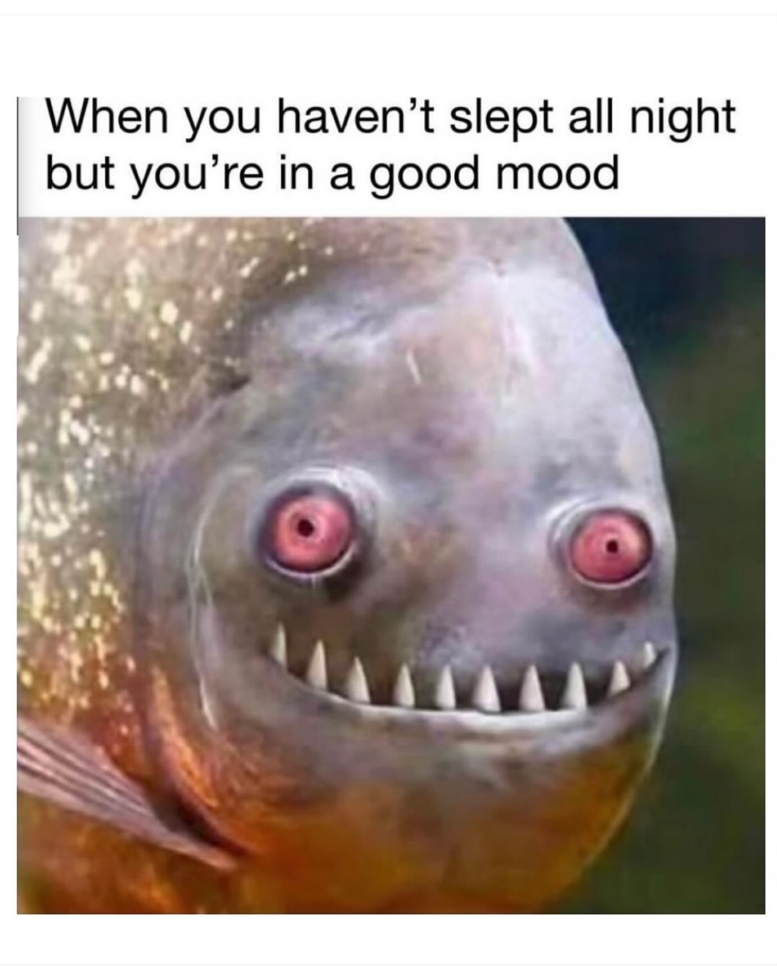 Monday Meme Healing Power 🥰