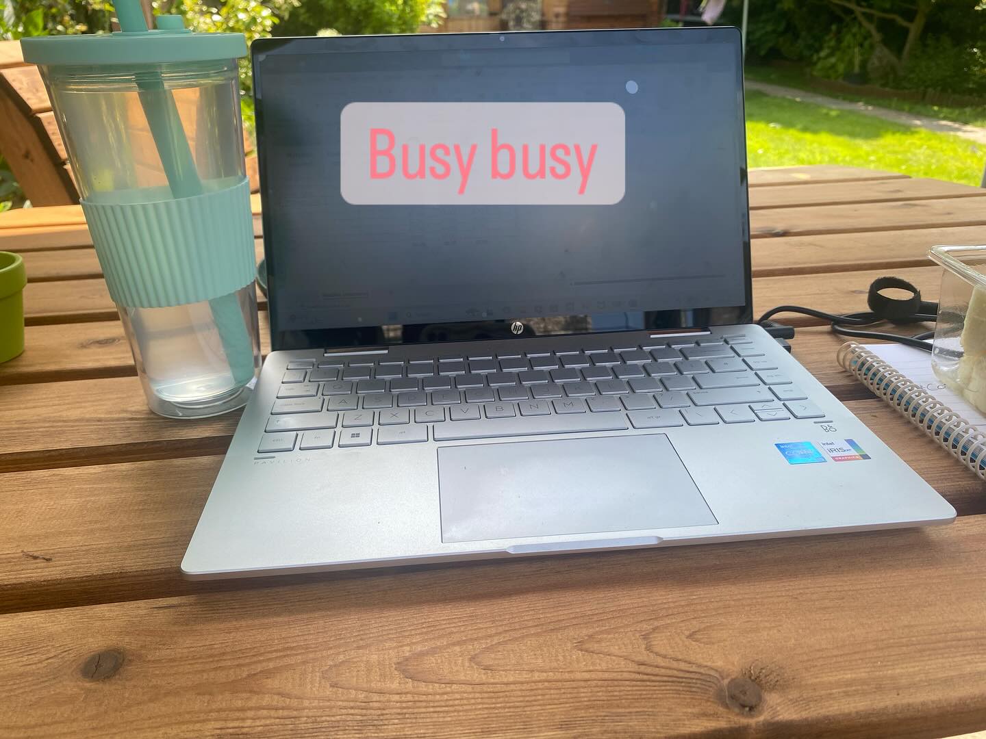 Spending my afternoon in the sun planning the autumn/winter and Christmas workshops for 2025…..
#busybusy #floristry #flowers #crafts #christmascrafts #autumncrafts #autumnflowers🍁🍂❤️
