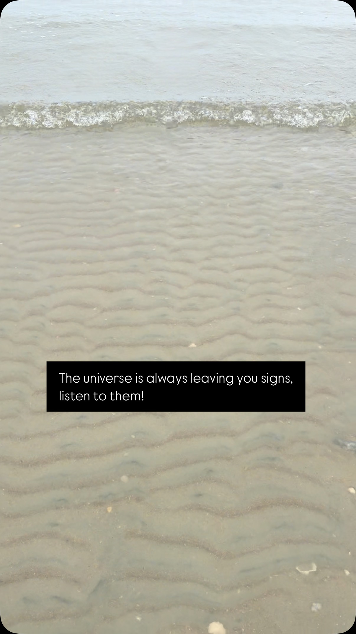 🌙 Niki’s Monday Message: Ask your future self.
There’s a version of you—wiser, freer, luminous—who already exists in the unseen.
She has already walked through the ache, the confusion, the thresholds you’re navigating now.
✨ Today, pause. Ask her:
• “What do I most need to know right now?”
• “What would you have me do today?”
• “What did you stop carrying to become me?”
Let her answer in whispers—
a flicker in your journal,
a line in a song,
a knowing in your chest.
She may not speak in words.
But she will guide you.
⸻
💫 Ritual for Today: Mirror + Message
1. Stand or sit before a mirror. Look into your eyes.
2. Place one hand on your heart, one on your belly.
3. Say:
“I call in the version of me who already knows.
I honor her wisdom. I trust her path.
I let her walk with me now.”
4. Write what comes. Even if it feels like imagination—write it anyway.
⸻
Your future self is not far away.
She’s already woven into your breath.
Every brave choice you make today… pulls her closer.
#TherapistThoughts #SacredPsychology #FutureSelf #HealingIsSpiritual #SelfTrust #MirrorRitual #NervousSystemHealing #WholenessWork #RadicalSelfCompassion #nervoussystemregulation #nikipaigewellness #nikipaigehealing