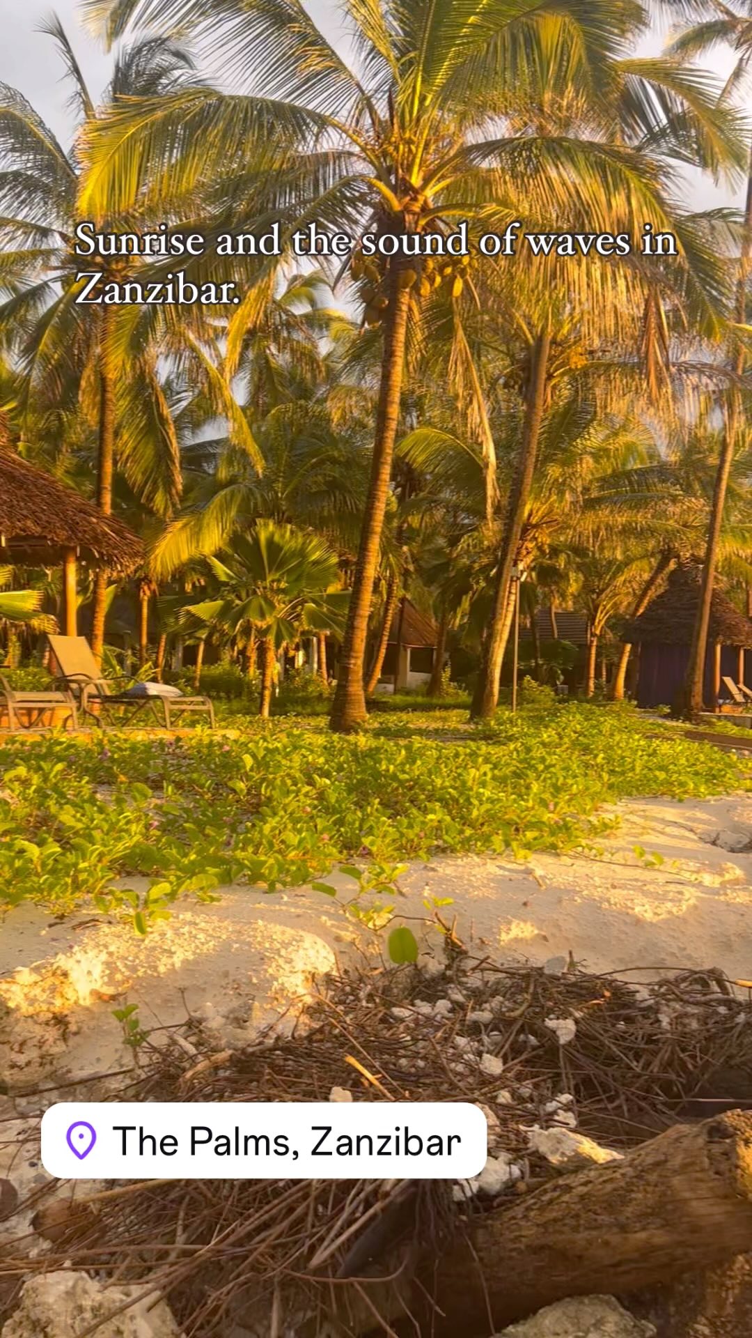 Every morning is gorgeous here. Sound on! #zanzibarluxury #travelblogger travelerapartners #virtuosotravel #offbeatsafaris #asiliaafrica