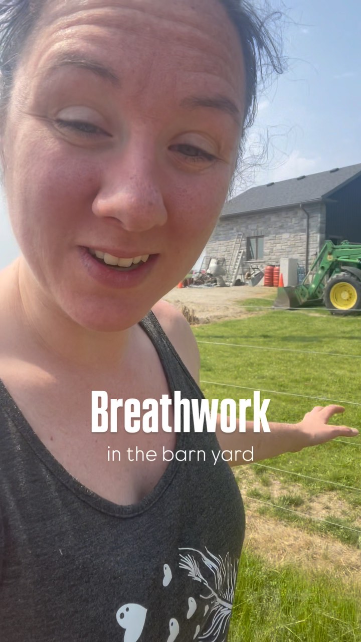 Breath with me while I collect eggs 🥚🫁⚡️
Breathwork | Farm | Nervous system | Natures Therapy