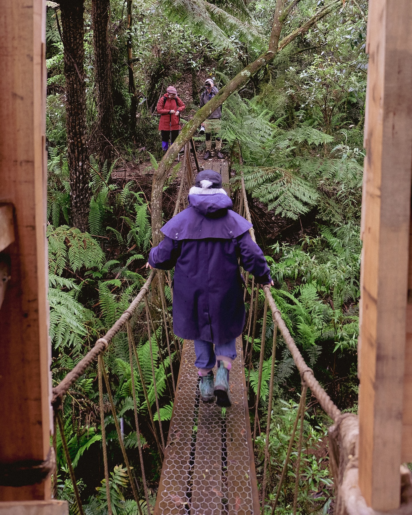 🌱 Attention South Gippsland nature people! 🌱
We have just listed a bunch of new local, nature events on our website.
From lyrebird listening, platypus spotting, birdwatching and chats with local farmers - there is something for everyone.
At Prom Coast Ecolink, we focus on two things : We connect nature to nature by identifying opportunities for habitat links between the hills and the coast, and people to nature through nature-based community events such as these.
Connecting people is a critical part of our work - not only to the natural environment, but also to each other, to share stories, knowledge and ideas for protecting and enhancing life in South Gippsland.
We truly hope to see you there for learning, listening, chats (and sweets, of course)
🔗 in bio or visit www.promcoastecolink.org/event
📷 from a previous nature journalling event @tarwin_river_forest