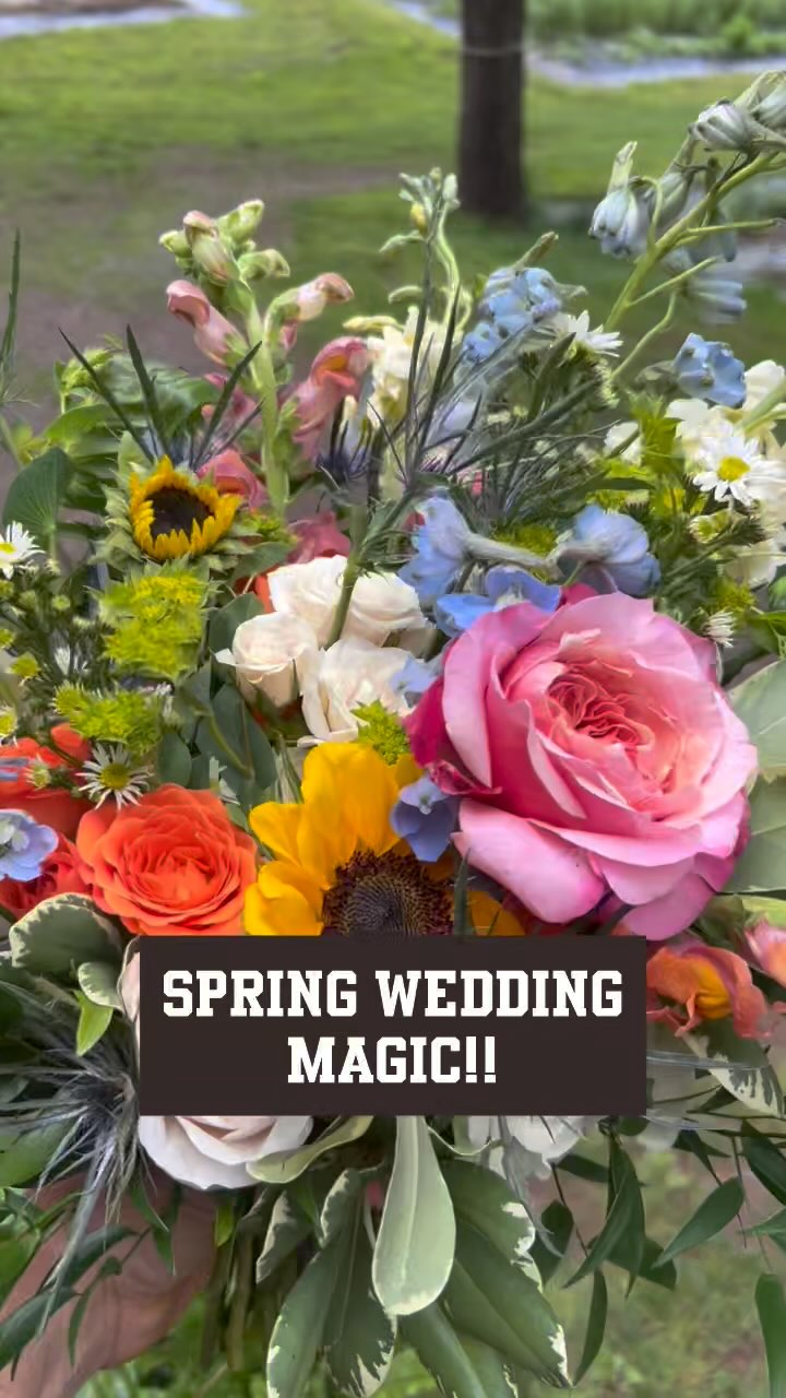 Spring has been incredibly busy on the farm this year and I’ve been behind on my posting. Here’s one of our recent spring weddings. We built a ground meadow for this ceremony site so it wouldn’t obstruct the view the water feature. Which would you prefer for a ceremony site? #walkingwindfarmandflorist #berryvilleva #rosemontmanor #huntcountrycelebrations #shenandoahweddingprofessionals #springweddings