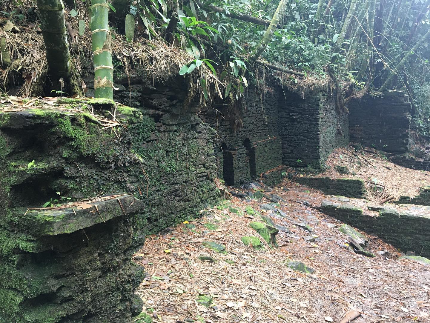 “Join us on a 4-hour trek through the heart of Tolima to uncover the old Silver mines of Falan. A journey that follows in the footsteps of Humbolt, Mutis, and Robert Stephenson — explorers who once marveled at these ancient lands. Ready to discover the secrets of this forgotten paradise? 🏞️✨ #CiudadPerdida #FalanTolima #LostCity #AdventureAwaits #Humbolt #Mutis #robertStephenson