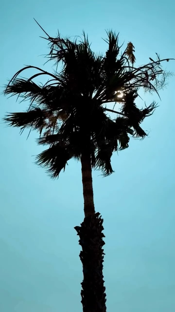 The best parts of the Algarve: pros and cons! ✨
Find out the most beautiful parts and why!
🔗 ➡️ LINK IN BIO for the full article
#algarve #algarveportugal #algarvelovers #algarvecoast #portugal #portugaltravel