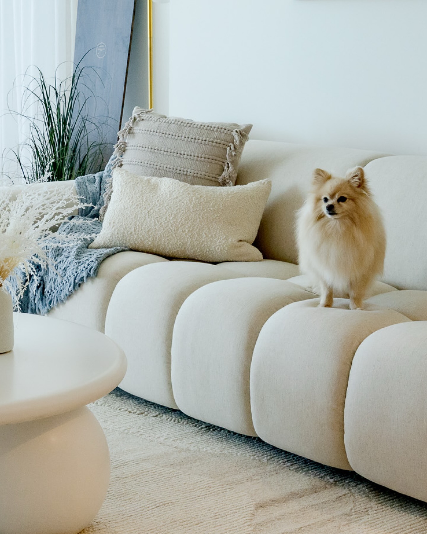 We needs more clients with dogs for our photo library please and thank you 🐶
From our Seventeenth Ave. Airbnb project in Palm Beach, Gold Coast 🖤🌴
📸 @joeweaven
#hausofgray
#palmbeach #goldcoast #airbnbstyling #interiordesign #interiorstyling #homedecor #dogsofinstagram