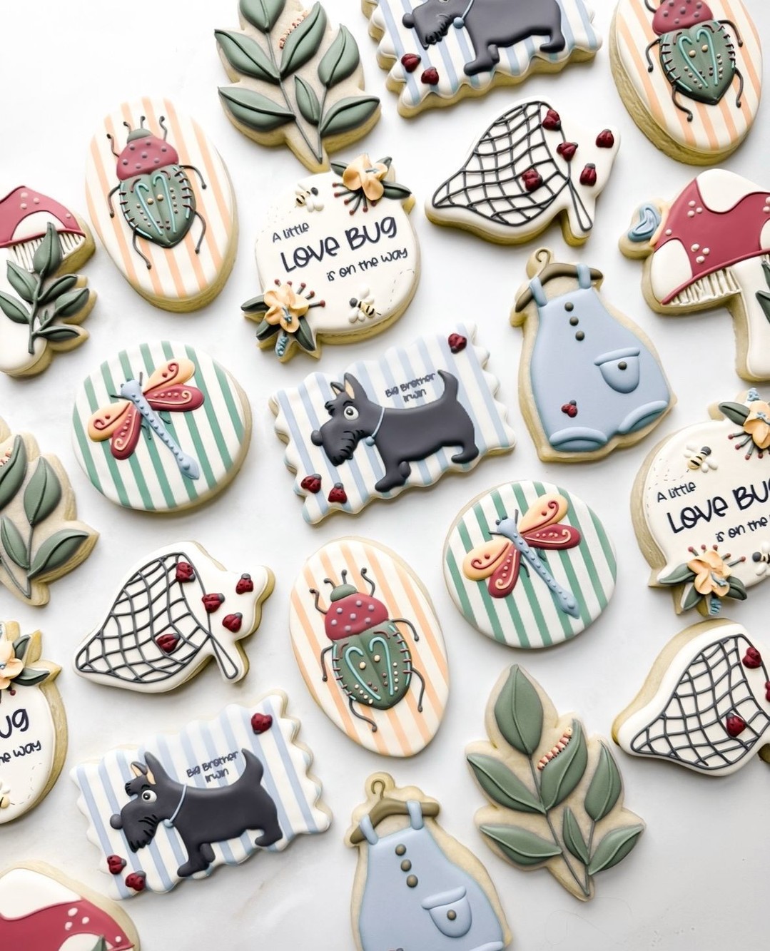 A little love bug is on the way!