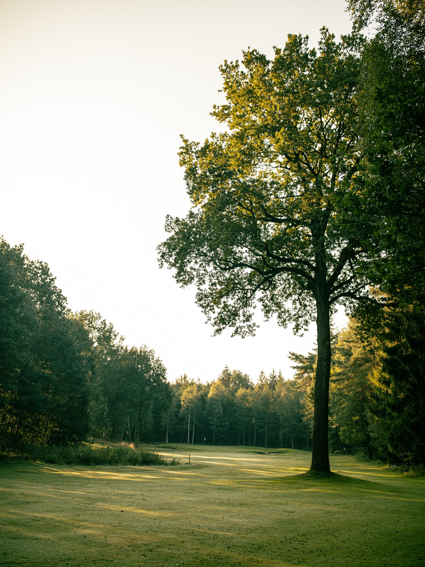 Impressionen vom Golfplatz.
#golf #vechta #golfplatz #golfimnorden #golfphotography #golflife #golfdeutschland #golfcourse #golfclub #oldenburgermünsterland #natürlich #norddeutsch #einzigartig