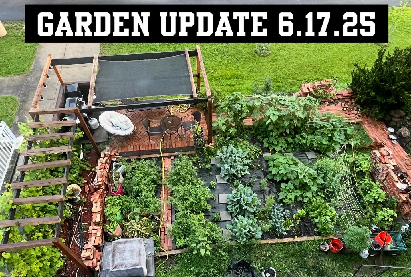 The squashes are squashing the peas are peeing… #squash #cucumber #tomato #pepper #jalepeno #gardening #garden #diy #diywithchelsea