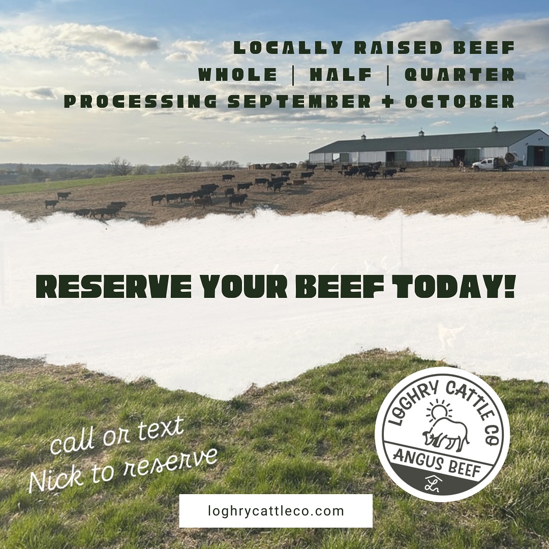 Spaces available for Sept + Oct processing dates!