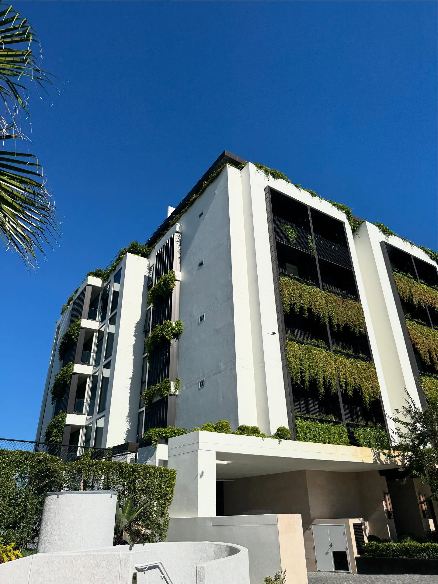 🌿Greening Upwards: The Power of Vertical Gardens in Brisbane’s Urban Landscape 🌿
On a recent walk in New Farm, it was clear Brisbane is only going to continue to grow upwards. And so should our approach to green space. Vertical gardening offers an innovative solution for high-density developments, transforming blank walls into living, breathing assets.
Beyond their aesthetic appeal, vertical gardens help reduce urban heat, improve air quality, and boost resident wellbeing - all while maximising limited space. For developers, it’s a sustainable strategy that adds tangible value to properties and aligns with Brisbane’s vision for a greener, more liveable city.
Let’s build upwards and grow green.