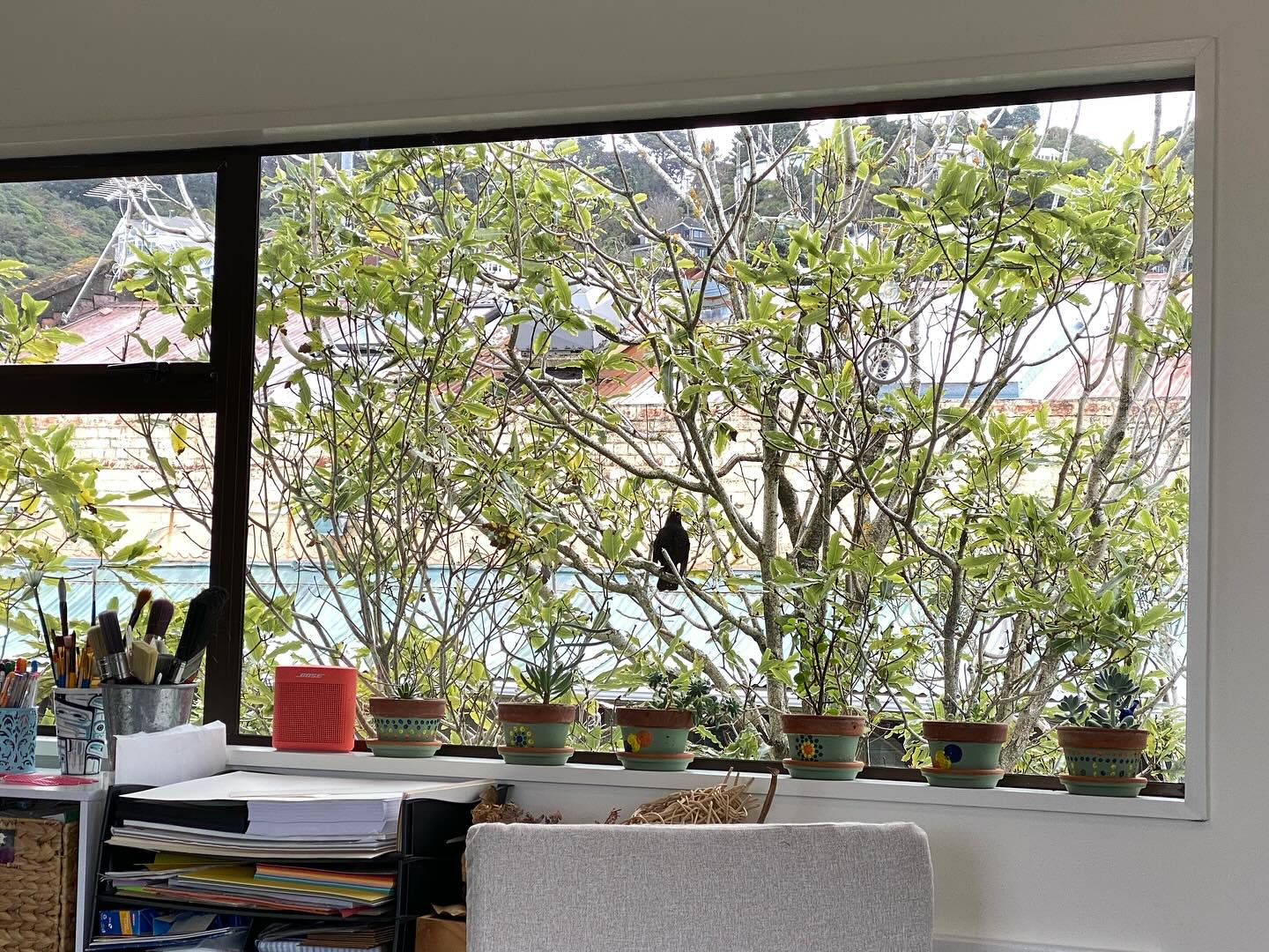 Love that I can watch birds in the tree when I am in my work space. #arttherapy #arttherapyspaces #watchingbirds #stayinginthemoment #viewfromwork